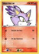 blaze the cat