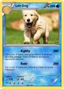 Leo Dog