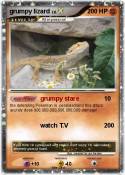 grumpy lizard