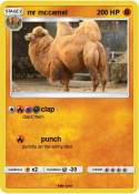 mr mccamel