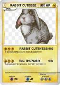 RABBIT CUTEEEE