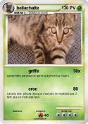 bellachatte