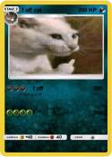 f off cat