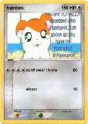 hamtaro