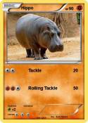 Hippo