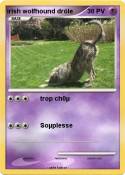irish wolfhound