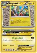 tapukoko