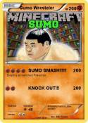 Sumo Wresteler