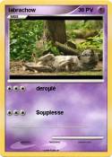 labrachow