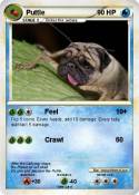 Puttle