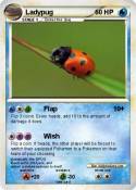 Ladypug