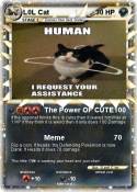 L0L Cat