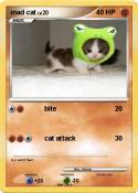 mad cat