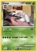 vineger
