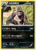 HARAMBRE