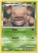 cochon tout