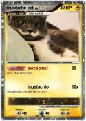 mustache cat
