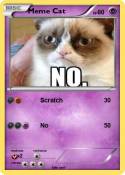 Meme Cat