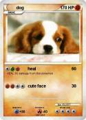 dog