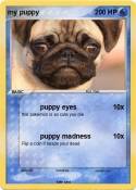 my puppy
