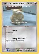 dumb cat had a