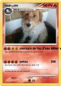 toun