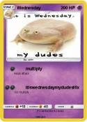 Wednesday