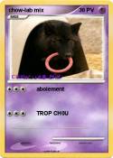 chow-lab mix