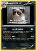 GRUMPIER CAT