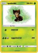 spottedkit