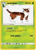 spottedpaw
