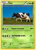 Cow