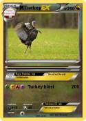 Turkey