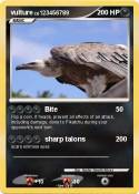 vulture