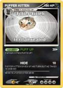 PUFFER KITTEN