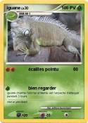iguane
