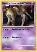 mastiff pr£ndre