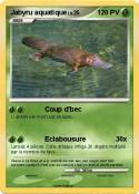 Jabyru aquatiqu