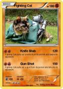 Fighting Cat