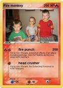 Fire monkey
