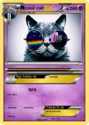 cool cat