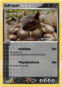 buff squirl
