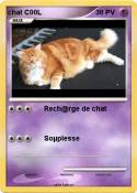 chat C00L