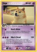 Doge