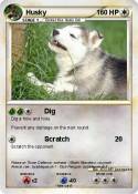Husky