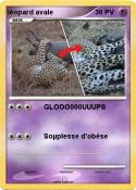léopard avale