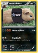 Guinea Police