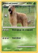 briard est joue