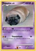 Pugapillar