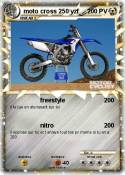 moto cross 250